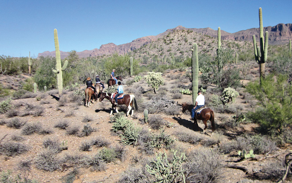 The group’s ride at Donnelly’s in October 2015. Pictured from front of the trail back are the guide from Donnelly’s, Bev Hall, Jeanne Chiapel, Marian Bianchini and Gary Sherman