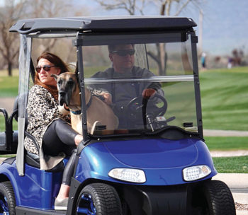 The Dog Park is closed, so lots of golf cart rides.