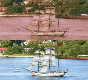 Figure 1 original image on top with the optimized image using software