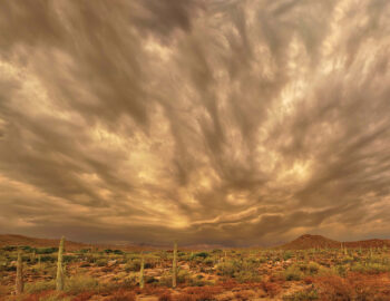 Roger Cowles: Monsoon Sunset