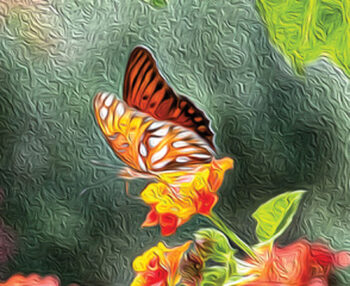 Mike Magic: Butterfly Oil Painting