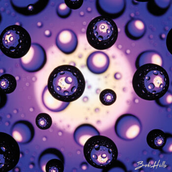 Water Droplets - Purple Bullseye (Photo by Bob Hills)
