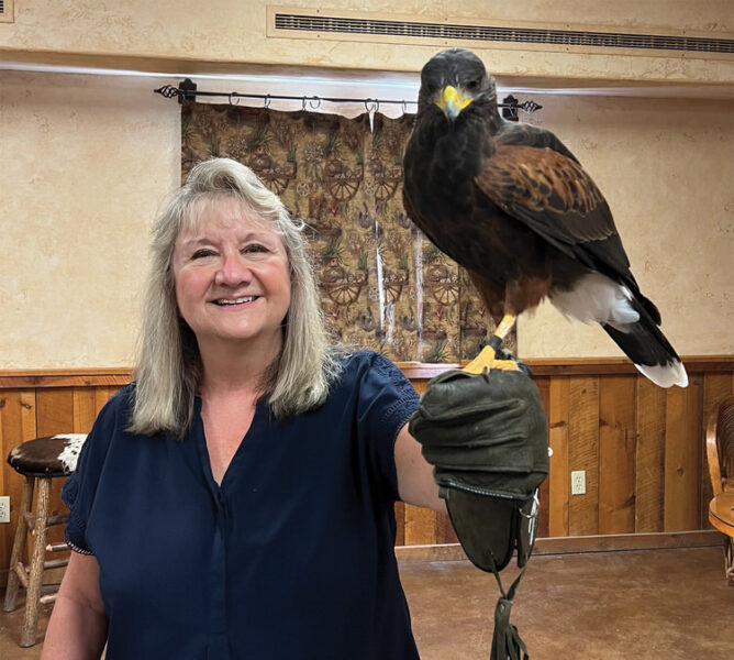 The Thrill of Falconry at Sky Island Falconry SaddleBrooke Ranch Roundup
