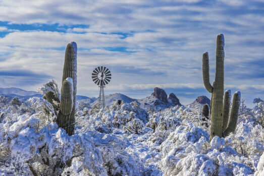 Windmill in the Snow (photo by Joe Tomasello)