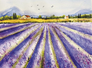 “French Lavender Field” by Liz Iverson
